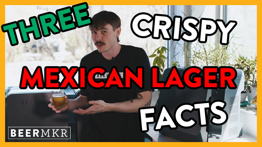 Three Crispy Mexican Lager Facts